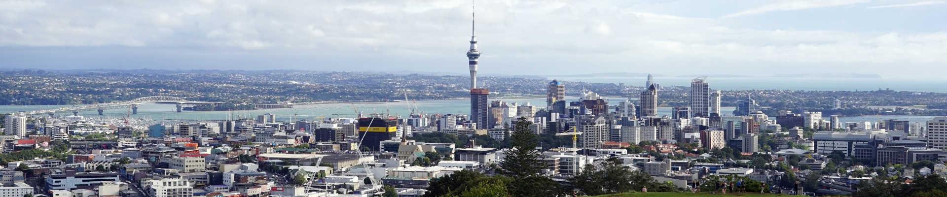 Discover...<br/>Auckland