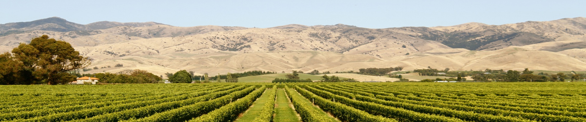 Discover...<br/>Blenheim & Picton Area