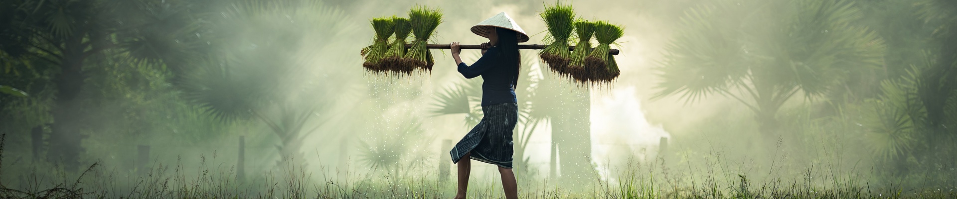 Discover...<br/>Malaysia