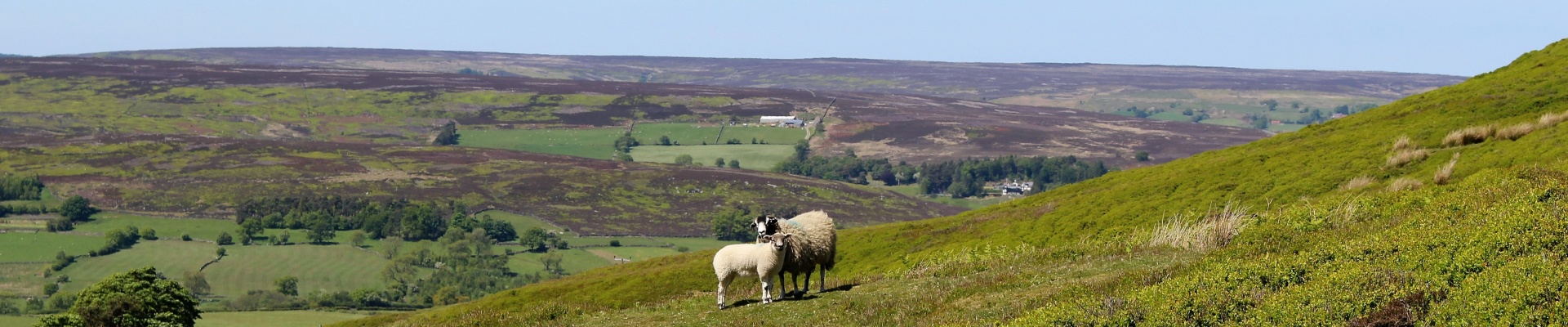 Discover...<br/>Northern England
