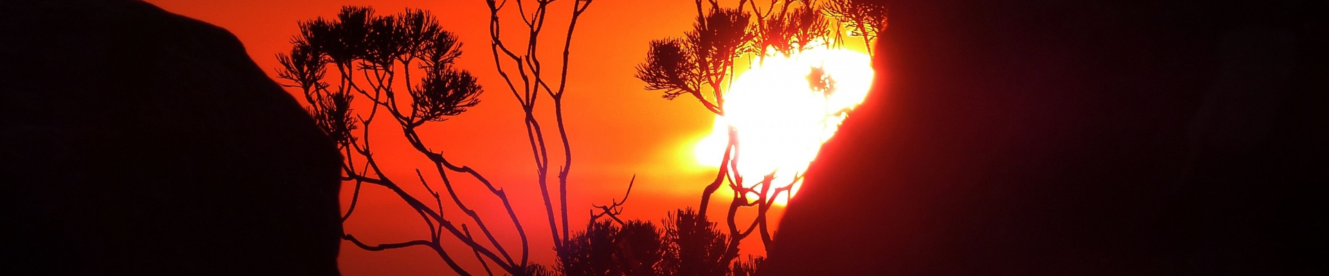 Discover...<br/>South Africa