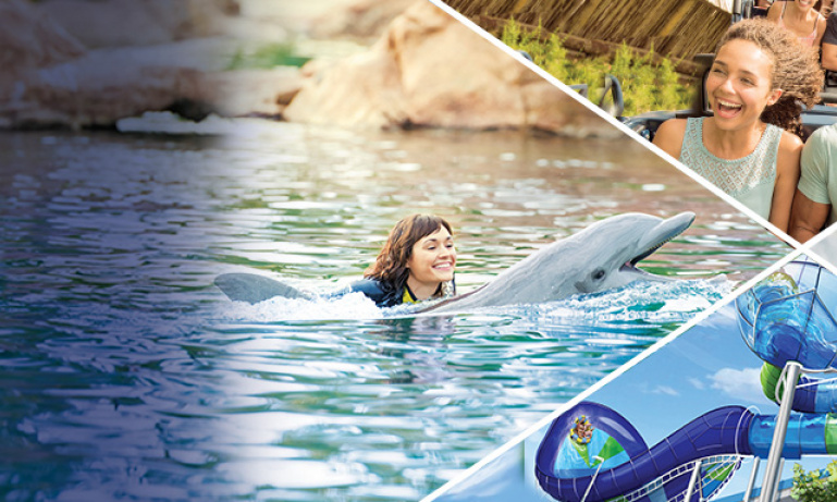 Important SeaWorld Parks Update