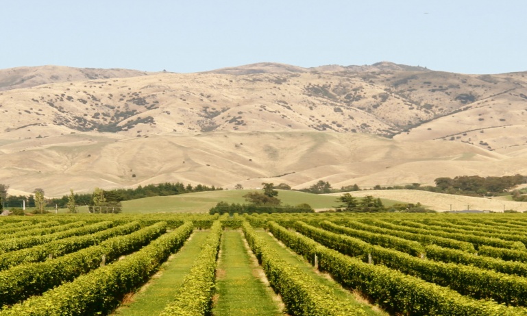 Discover...<br/>Blenheim & Picton Area