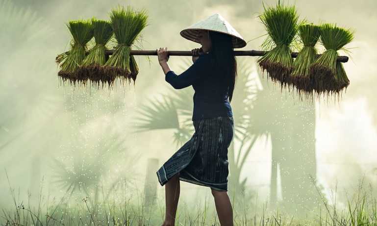 Discover...<br/>Malaysia