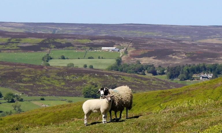 Discover...<br/>Northern England