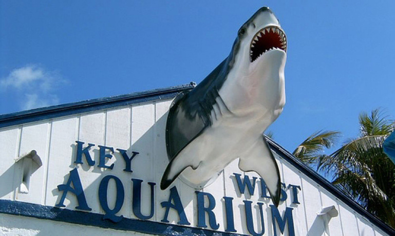 Key West Day Tour from Miami | Do Something Different