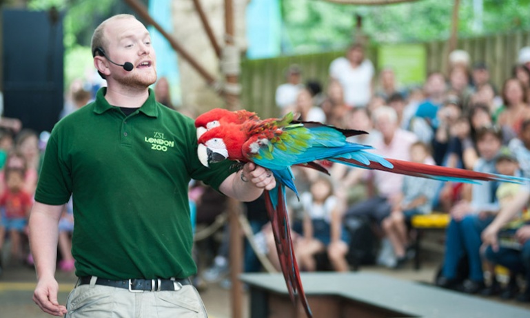 London Zoo Tickets | Do Something Different