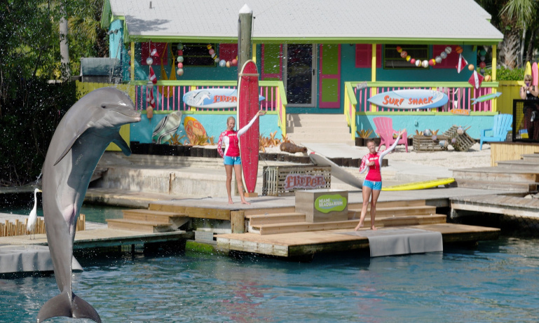 Miami Seaquarium - Sea Trek | Do Something Different