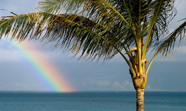 Shared Round Trip Kona Airport Transfers On Big Island