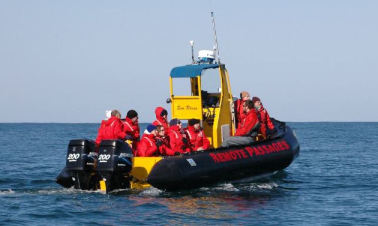 Whale Watching In Tofino Do Something Different